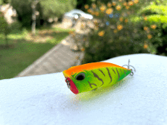 Popper Sahte Rapala Yem Sarı Limon 9G - 64MM - 9116